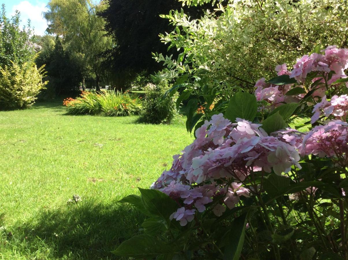 Au Fil Du Crembreux Bed and Breakfast Marquise Exterior foto